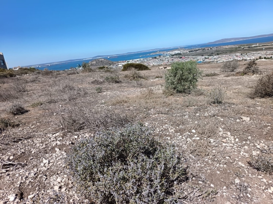 Commercial Property for Sale in Hoogland Western Cape